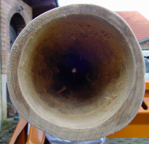 Bell merisier_redimensionner.jpg