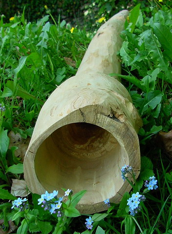 Merisier bell 3_resize.jpg