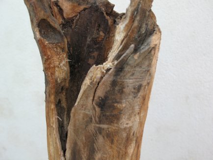 une des nombreuses fissures