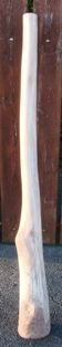 DSC00480.JPG