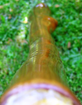 DSC00521.JPG