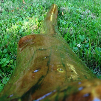 DSC00531.JPG