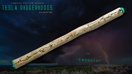10 - CADUCEE - WEB FB.jpg